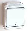 Surface splash proof wall rocker switch for fixed installation, screwless terminal